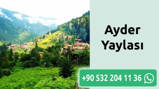 Ayder Yaylası